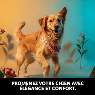 Ramal en Nylon Fleur 120x1.5cm : Style et Confort pour votre Animal de Compagnie 2