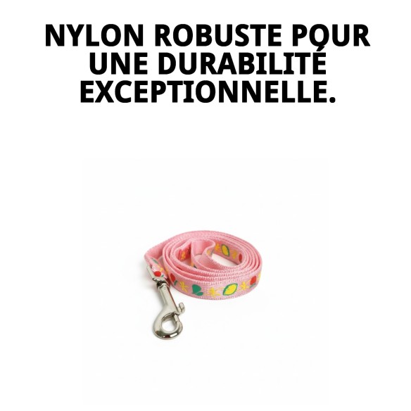 Ramal en Nylon Fleur 120x1.5cm : Style et Confort pour votre Animal de Compagnie