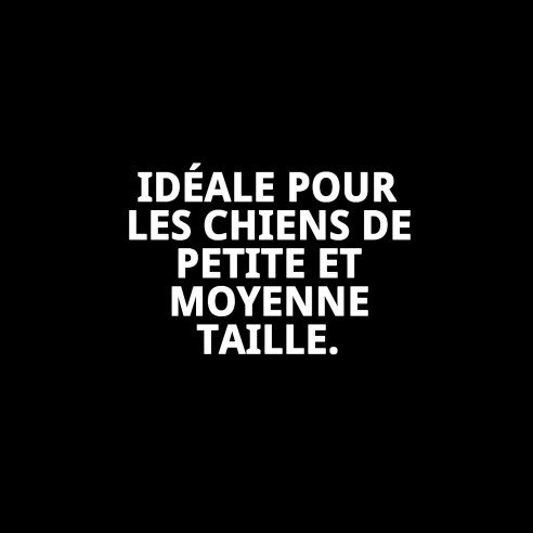 Ramal en Nylon Fleur 120x1.5cm : Style et Confort pour votre Animal de Compagnie