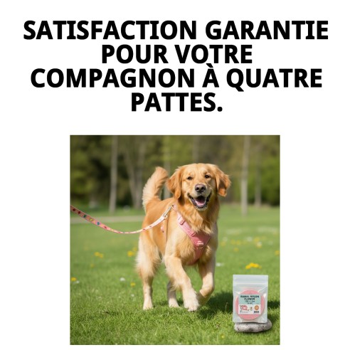 Ramal en Nylon Fleur 120x1.5cm : Style et Confort pour votre Animal de Compagnie