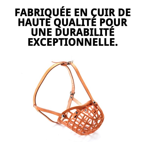 Muzzle en osier en cuir pour chiens à museau large.