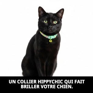 COLLIER NYLON FLEUR 15-20 X 0,80 cm AVEC CLOCHE 2