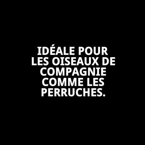 VOLIÈRE KENYA 60 X 60 X 167 CM
