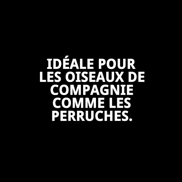 VOLIÈRE KENYA 60 X 60 X 167 CM