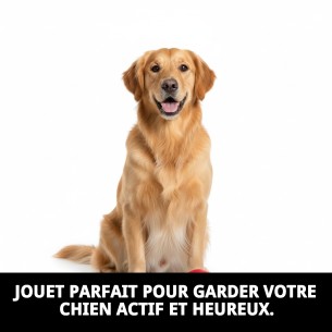 Balle en Caoutchouc Extra Grande 9 cm pour Animaux de Compagnie Amusants 2