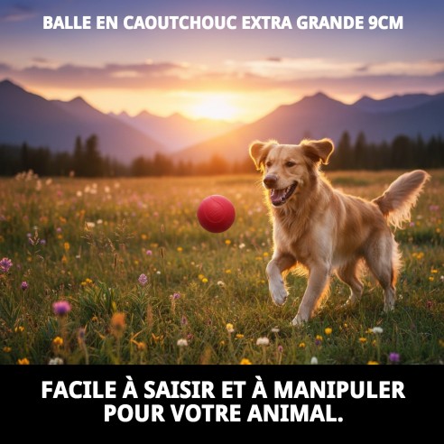 Balle en Caoutchouc Extra Grande 9 cm pour Animaux de Compagnie Amusants