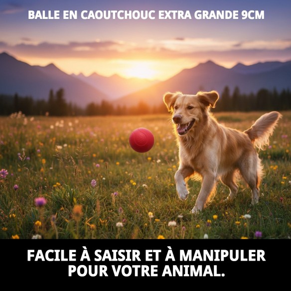 Balle en Caoutchouc Extra Grande 9 cm pour Animaux de Compagnie Amusants