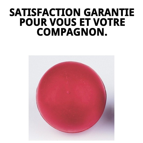 Balle en Caoutchouc Extra Grande 9 cm pour Animaux de Compagnie Amusants