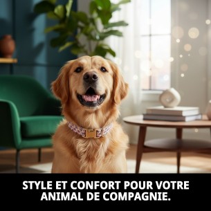 Collier Topitos T-1 20-30 cm pour Animaux de Compagnie - Style et Confort 2