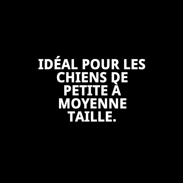 Collier Topitos T-1 20-30 cm pour Animaux de Compagnie - Style et Confort