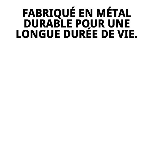 Clé Métallique 2 Sorties pour Animaux - Haute Qualité et Durabilité