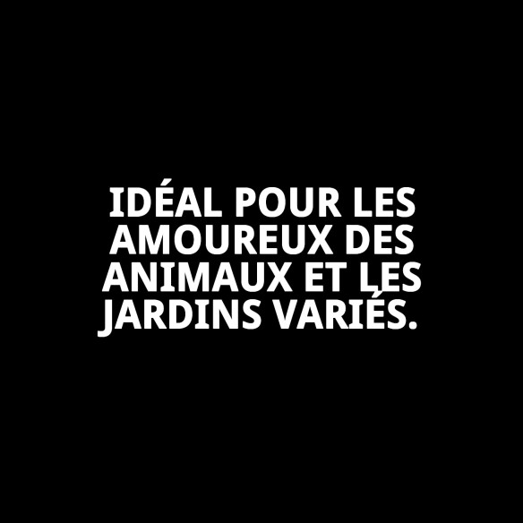 Clé Métallique 2 Sorties pour Animaux - Haute Qualité et Durabilité