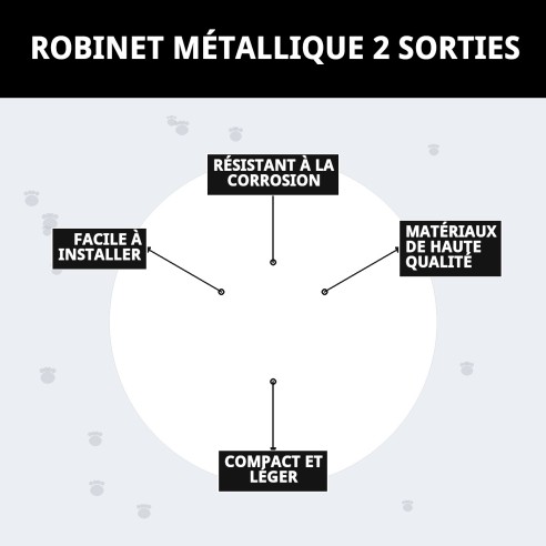 Clé Métallique 2 Sorties pour Animaux - Haute Qualité et Durabilité
