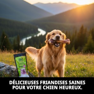 Support Médias Os de Jambon Pack 2 pour Chiens 2