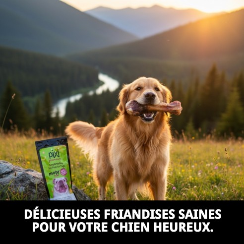 Support Médias Os de Jambon Pack 2 pour Chiens