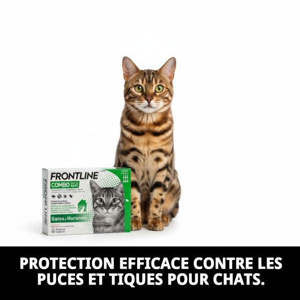 Frontline Combo Chats : Efficacité en 6 Pipettes Antiparasitaires