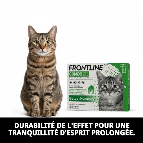 Frontline Combo Chats : Efficacité en 6 Pipettes Antiparasitaires