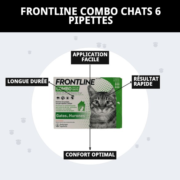 Frontline Combo Chats : Efficacité en 6 Pipettes Antiparasitaires