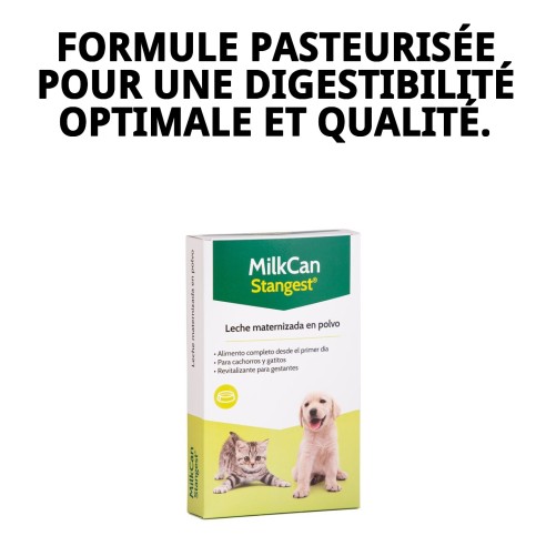 Lait Maternisé pour Chiots et Chatons 250g - Haute Qualité