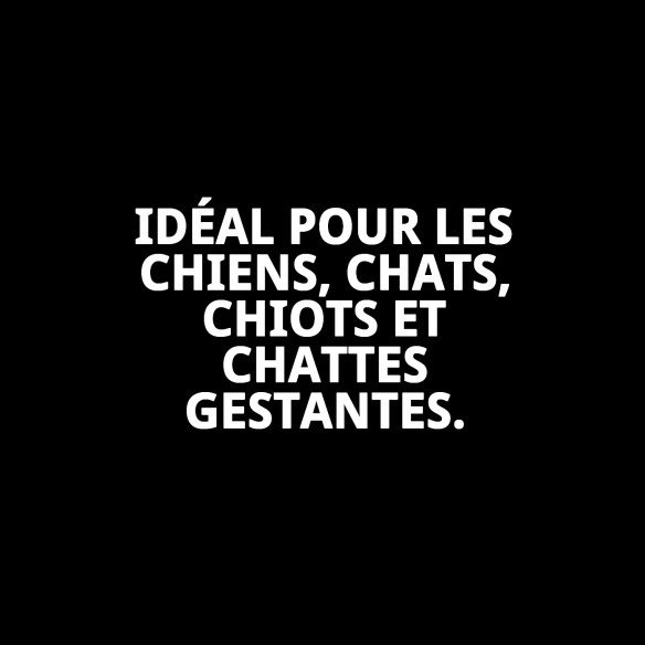 Lait Maternisé pour Chiots et Chatons 250g - Haute Qualité