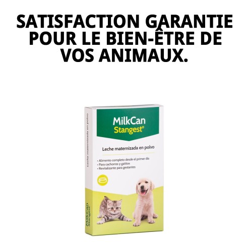 Lait Maternisé pour Chiots et Chatons 250g - Haute Qualité