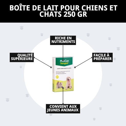 Lait Maternisé pour Chiots et Chatons 250g - Haute Qualité