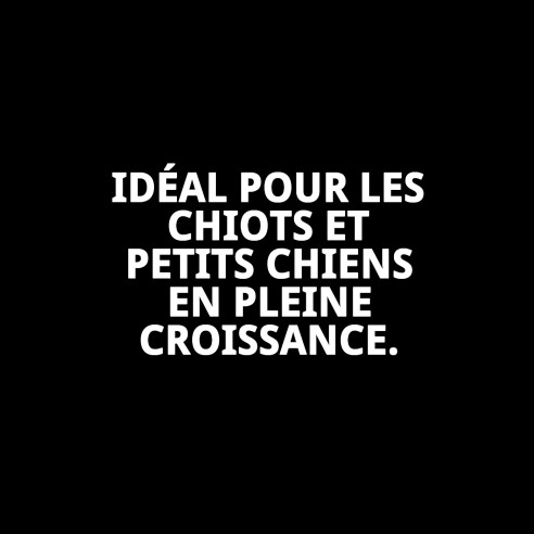 Parc pour Chiens 12 Pcs 35x35 cm - Sécurité et Confort