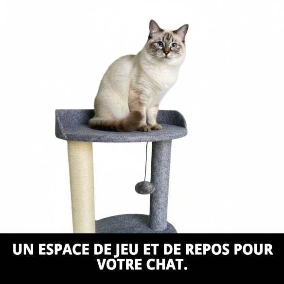 Griffoir pour Chat Modèle Suisse : Confort et Amusement 40x30 cm