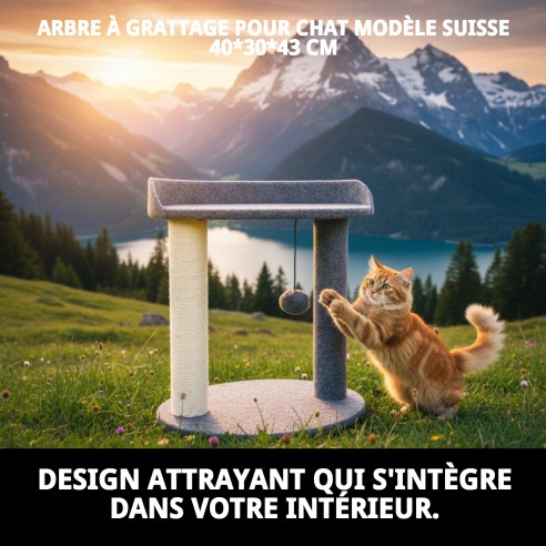 Griffoir pour Chat Modèle Suisse : Confort et Amusement 40x30 cm