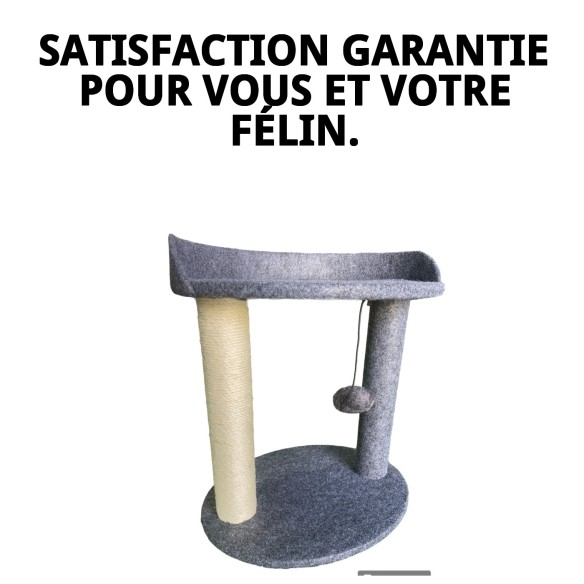 Griffoir pour Chat Modèle Suisse : Confort et Amusement 40x30 cm