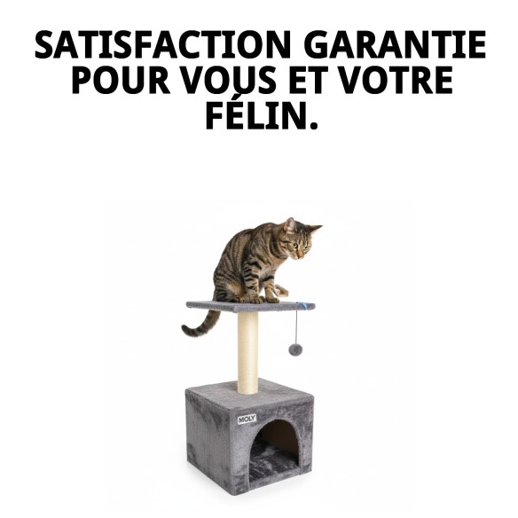 Griffoir pour Chat Lisbonne : Style et Confort en Un