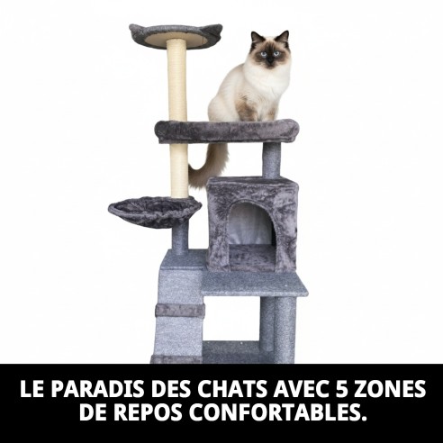 Arbre à Gratter pour Chat Paris 132 cm : Amusement et Confort
