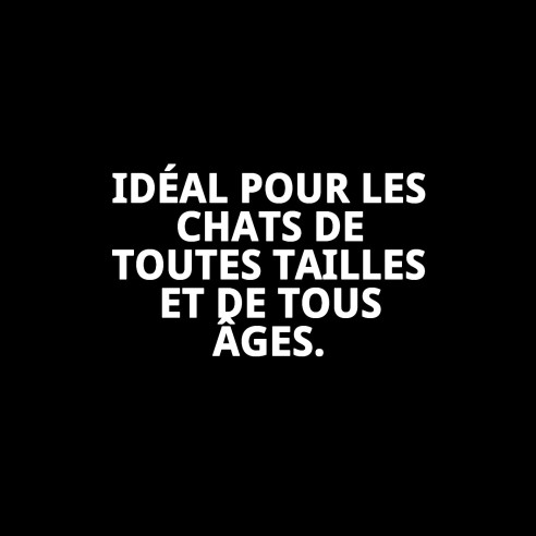 Arbre à Gratter pour Chat Paris 132 cm : Amusement et Confort