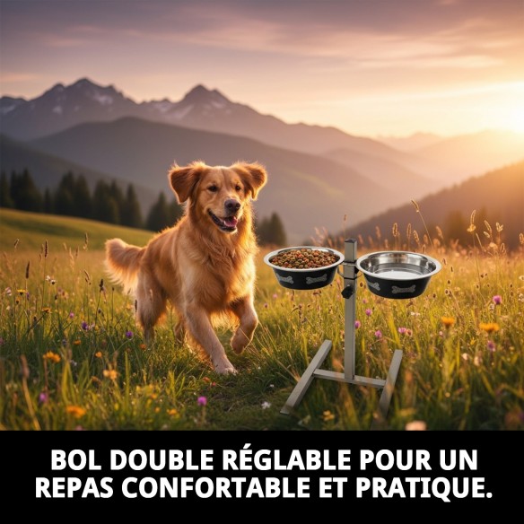 Gamelle pour chiens ajustable en hauteur, deux gamelles de 1,6 L Moly avec design exclusif.