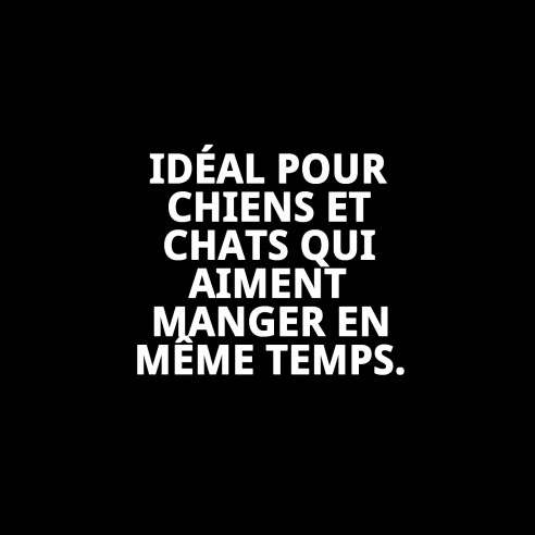 Gamelle pour chiens ajustable en hauteur, deux gamelles de 1,6 L Moly avec design exclusif.