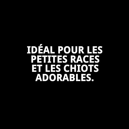 Petite Gamelle avec Fils et Empreinte - 10 Unités 8x4x3 cm