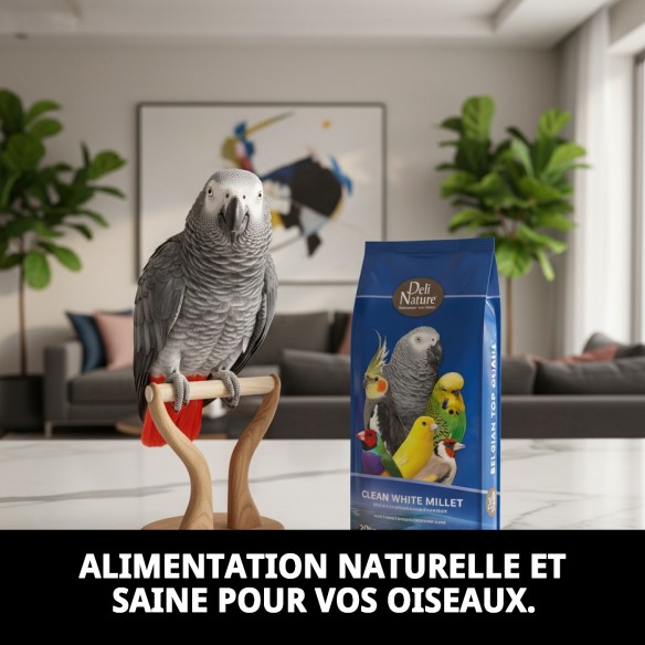 Mijo Blanc Propre 20 kg Deli Nature pour vos oiseaux.
