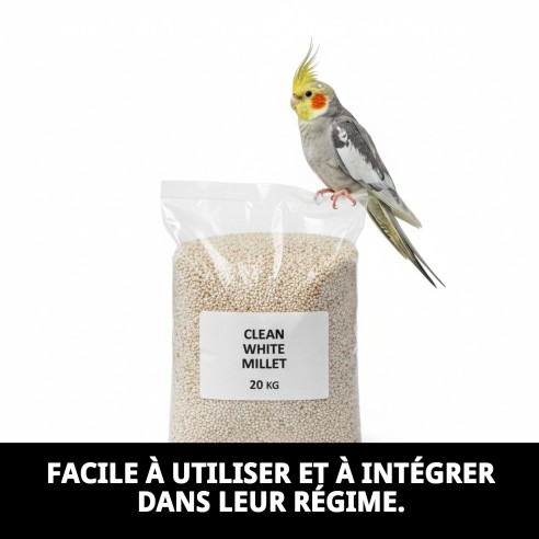 Mijo Blanc Propre 20 kg Deli Nature pour vos oiseaux.