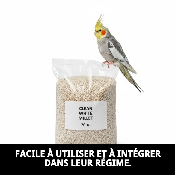 Mijo Blanc Propre 20 kg Deli Nature pour vos oiseaux.