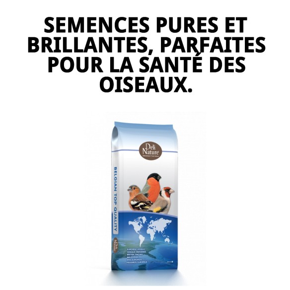 Alpiste Extra Beyers 20 kg pour des oiseaux en bonne santé et heureux.