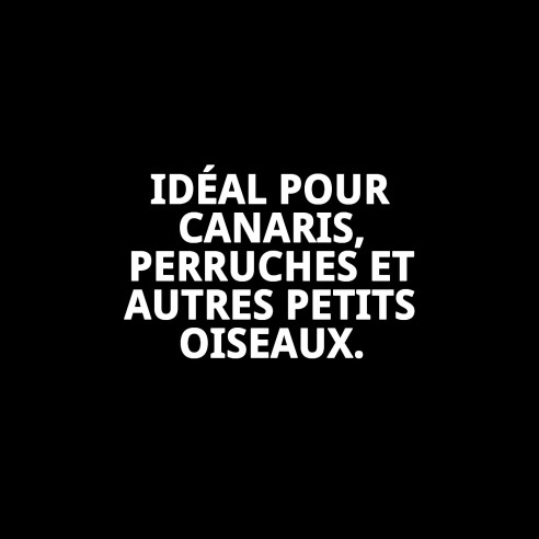 Alpiste Extra Beyers 20 kg pour des oiseaux en bonne santé et heureux.