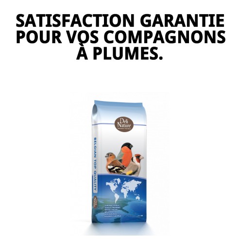 Alpiste Extra Beyers 20 kg pour des oiseaux en bonne santé et heureux.