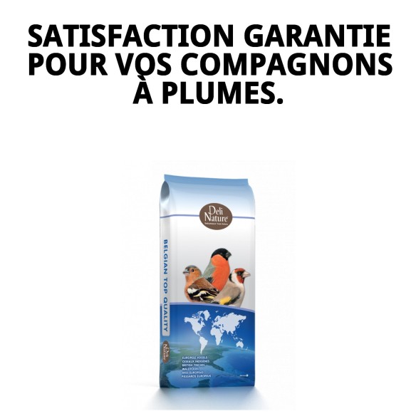 Alpiste Extra Beyers 20 kg pour des oiseaux en bonne santé et heureux.