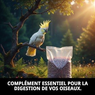 GRIT EXTRA 10 KG BEYERS : Nourrissez votre animal de compagnie avec qualité. 2