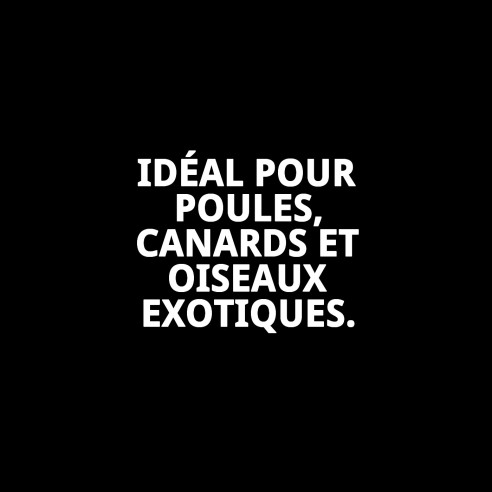 GRIT EXTRA 10 KG BEYERS : Nourrissez votre animal de compagnie avec qualité.