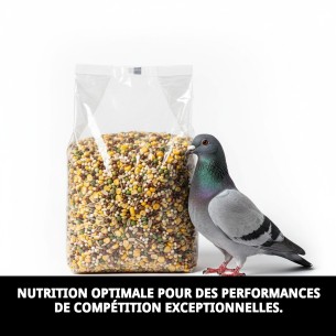 Aliment Premium Verkerk Sport 20 kg pour Pigeons de Compétition 2