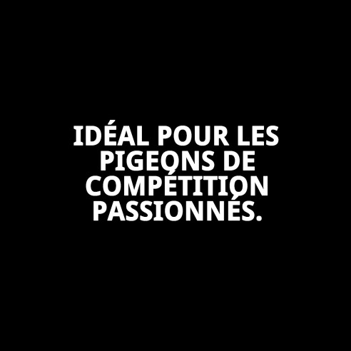 Aliment Premium Verkerk Sport 20 kg pour Pigeons de Compétition