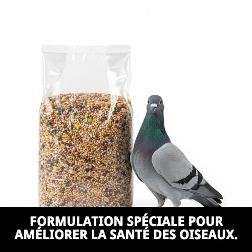 Aliment Premium Verkerk Sport 20 kg pour Pigeons de Compétition