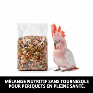 Grands Perruches Sans Tournesols 20 kg pour Cacatoès 2