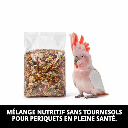 Grands Perruches Sans Tournesols 20 kg pour Cacatoès